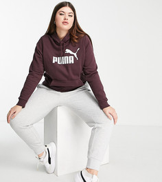 Бордовый худи с крупным логотипом Puma Plus-Красный