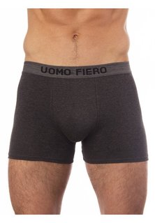 Трусы мужские UOMO FIERO 027FH серые XXL
