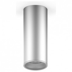 Потолочный светильник Gauss Overhead HD006