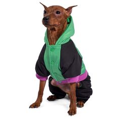 Комбинезон для собак Triol, Marvel Халк XS, унисекс, зеленый, черный, длина спины 20 см