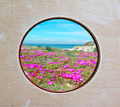 Фотообои Divino Decor/D коллекцияD-087Круглое окно300х270 см