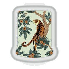 Контейнер для СВЧ Phibo с крышкой в ассортименте