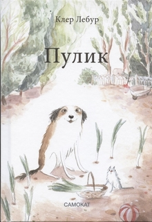 Книга Пулик Самокат