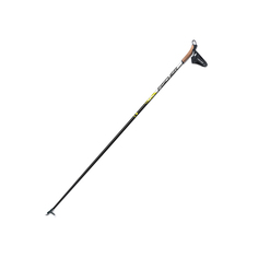 Лыжные палки Fischer RC3 Carbon 2020, 165 см