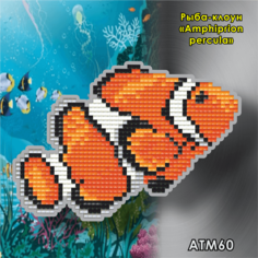 Алмазная вышивка Арт Соло «Рыба клоун (Amphiprion percula)» (магнит)