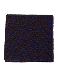 Шарф мужской DAIROS GD71700473 синий 170х21 см