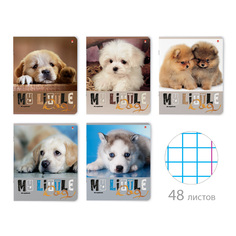 Тетрадь Альт® А5 "СЛАДКИЕ ЩЕНЯТА" 48 л., клетка Арт. 7-48-607