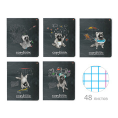 Тетрадь Альт® А5 "КАНИКУЛЫ ЕНОТА" 48 л., клетка Арт. 7-48-553