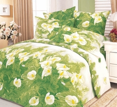 Постельное белье поплин Сайлид A-34 1,5 сп Cleo