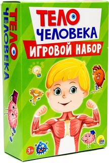 Игровой набор 3 в 1 Проф-Пресс Тело человека