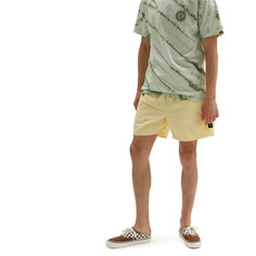 Шорты Primary Volley II Vans