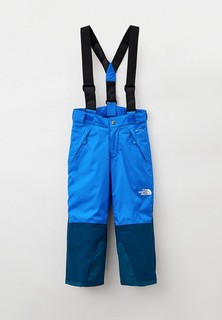Брюки горнолыжные The North Face