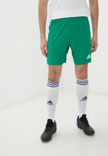 Шорты спортивные adidas