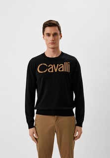 Джемпер Roberto Cavalli