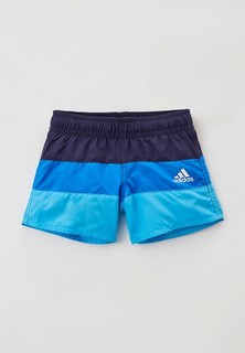 Шорты для плавания adidas