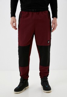 Брюки спортивные The North Face