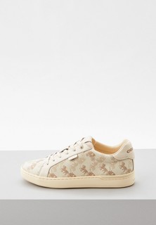 Кеды Coach