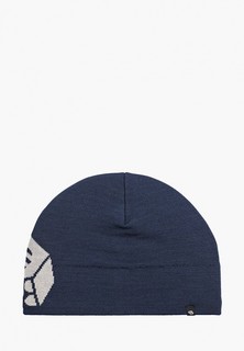 Шапка Mountain Hardwear