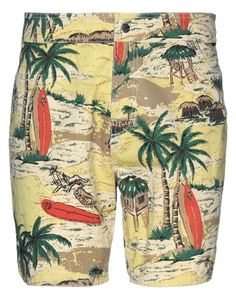 Шорты и бермуды Dickies