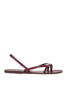 Вьетнамки Ancient Greek Sandals