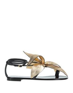Вьетнамки Giuseppe Zanotti