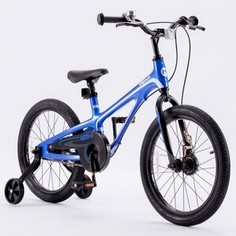 Велосипед RoyalBaby Chipmunk CM16-5 MOON 5 Magnesium blue