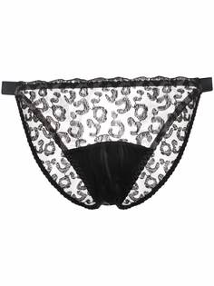 Fleur Of England полупрозрачные трусы-брифы Kittie