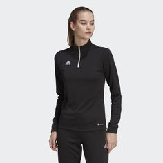 Adidas brln shop trf w sweater