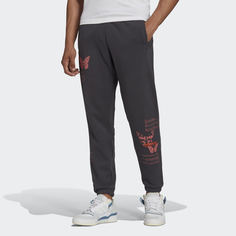 Брюки adidas Adventure C-Butterfly