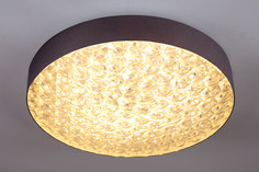 Светильник потолочный LED 10246 Escada
