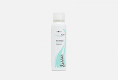 Сухой шампунь для волос Hair Company Professional