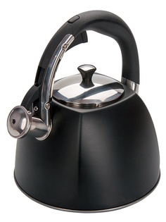 Чайник Regent Inox Tea 3L 93-TEA-31