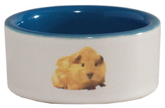 Одинарная миска для грызунов Beeztees, керамика, белый, голубой, 0.12 л