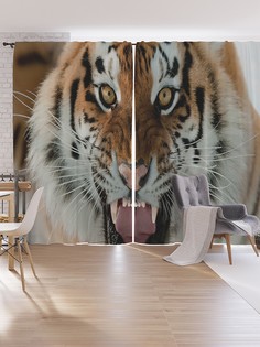 Шторы под лён JoyArty "Агрессивный тигр", серия Oxford DeLux, 340х265 см