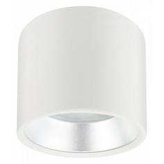 Накладной светильник OL8 Б0048537 ERA