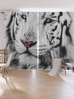 Шторы под лён JoyArty "Белый тигр", серия Oxford DeLux, 340х265 см