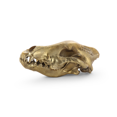 Настольная статуэтка Wolf Skull Seletti