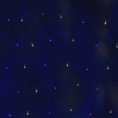 Гирлянда "Сеть" 2,5х2,5м, черный ПВХ, 432 LED Белые/Синие Neon Night