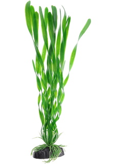 Искусственное растение для аквариума Barbus Валиснерия спиральная зеленая Plant 014 30 см