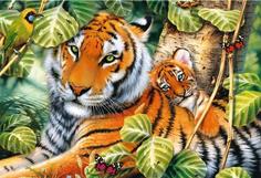Пазлы Два тигра, 1500 деталей Trefl TR26159