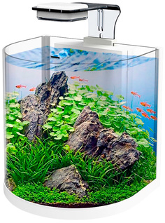 Аквариум для растений, для рыб Atman BGT-25, дуговой, белый 10 л