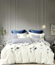 Постельное белье сатин Tango Twill TPIG2-1037-50 2-х спальное