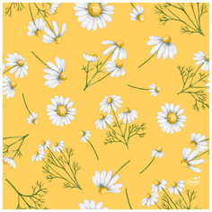 Салфетки 33х33см, 3 сл., pretty daisy yellow, бумага Duni