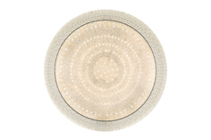 Светильник потолочный LED Hoff 10273 Escada