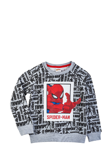 Свитшот детский Spider-man AW21SM0903336 серый р.122