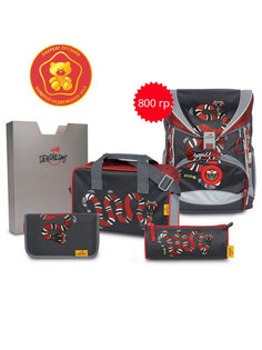 Ранец DerDieDas ErgoFlex "Огненный змей" 800г, 5 предметов 8405113