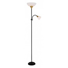 Торшер с подсветкой Duetto A9569PN-2BK Arte Lamp