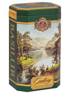 Чай зеленый Basilur Галерея Лес 100 г (жестяная банка)
