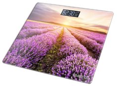 Весы напольные Marta МТ-1678 лаванда