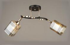 Люстра потолочная Nina Lighting 3008/2 - A BK+FG (10) люстра